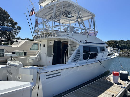 45’ Luxury Multi-Level Mission Bay Cruiser