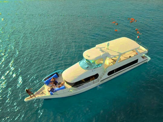 Morning Special! Huge 75ft Yacht, All-Inclusive - Whale Watching / Snorkeling 