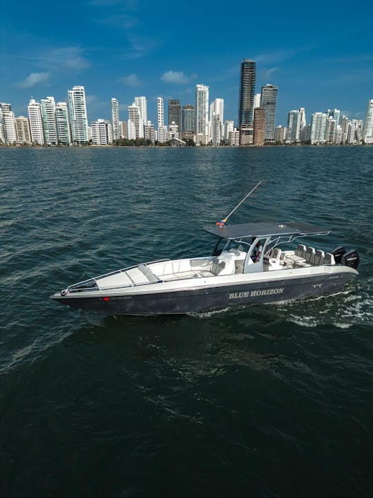 Excursión en barco privado a las islas del Rosario