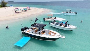 プライベートツアー〜パロミノ島とイカコス諸島でのシュノーケリング-パシュート28分