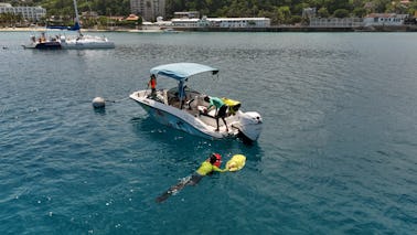 For the Ocean Lovers, Come try Seabob Snorkeling Charter for Groups up to 6