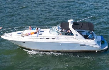 40ft SeaRay Motor Yacht - FOR YOU and 12 of your friends!!