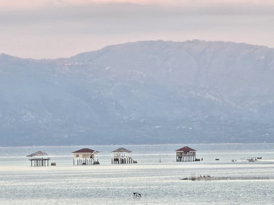 Alquiler de botes Manjuyod Sandbar y Bais para observar delfines en Negros Oriental, PH