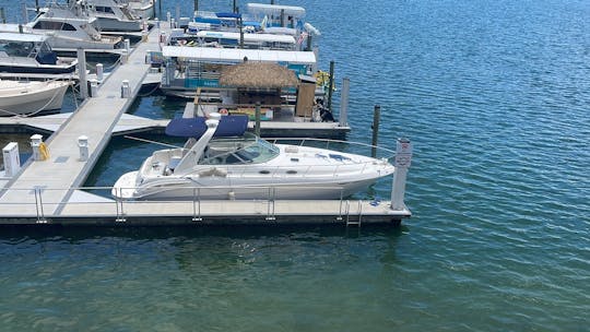 Alquiler de Sea Ray 340 en Clearwater Beach