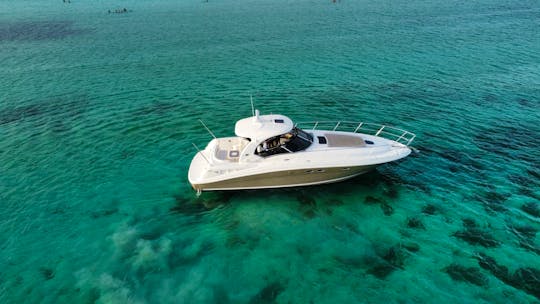Sea Ray Casa de Campo , La Romana, 🤩 Mint condition Boat 🛥️