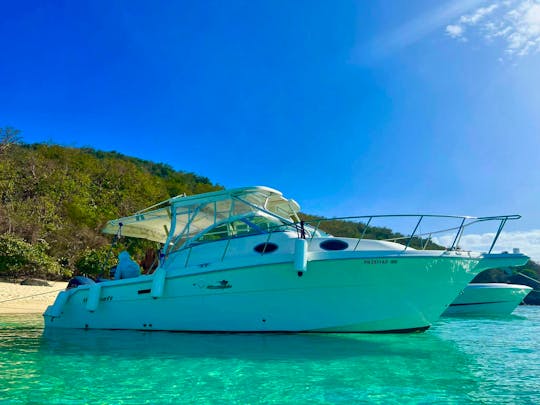 Wellcraft 30 Motor Yacht In Icacos and Palomino Islands