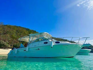 Wellcraft 30 Motor Yacht In Icacos and Palomino Islands