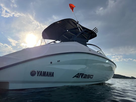 Bateau de sport Yamaha AR 250 2024 adapté pour 12 personnes