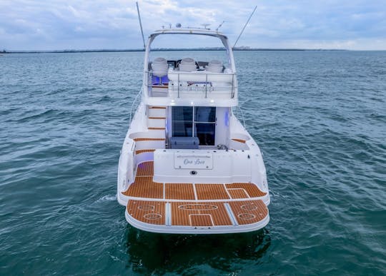 48' SEARAY Motor Yacht (FREE 1 JETSKI MON-THURS) TIP INCLUDED