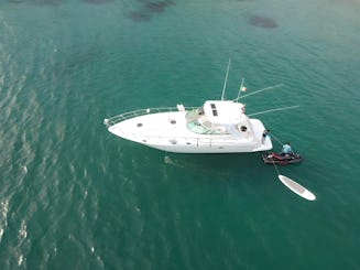 Luxury Experience with 44ft Cruiser Yacht | La Cruz de Huanacaxtle