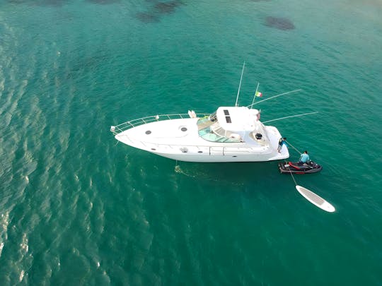 Luxury Experience with 44ft Cruiser Yacht | La Cruz de Huanacaxtle