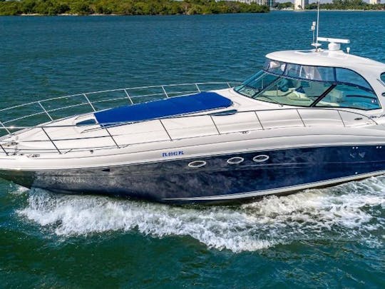 Profitez de Miami avec un yacht Sea Ray de luxe de 55 pouces