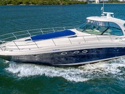 Enjoy Miami With luxury 55" Sea Ray Yacht
