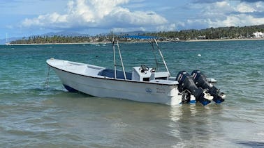 Boat Tours Las Terrenas On 33ft Profina Powerboat