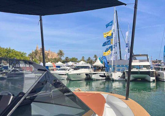 Fiart Mare Seawalker 35ft motor boat  in Ibiza