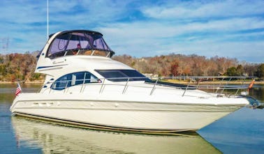 46ft Party Yacht (Price Reduced) - Includes ice, soda, water, paddle board