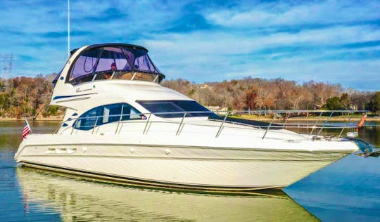 46 Ft Party Yacht, PRICE REDUCED,  includes ice, soda, water, paddle board