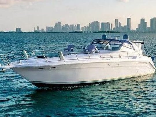 ¡Disfruta de Miami con el SEARAY SUNDANCER 51FT!