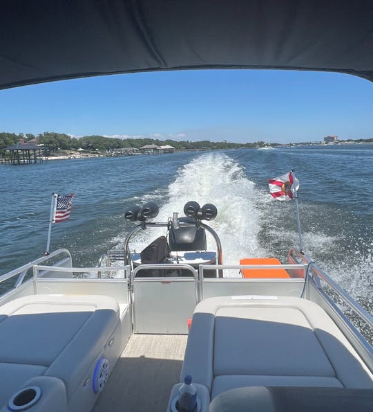 Beautiful Tritoon cruiser! Dolphin 🐬 Cruises, Sand bar fun! 🏖️