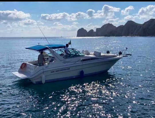 32ft Sea ray for whale watching 