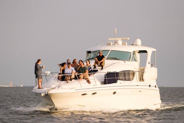 52ft Sea Ray Yacht Charter "BADA BING" In St. Petersburg Florida