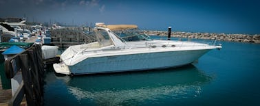 46ft Sea Ray Sundancer Motor Yacht Rental in Chicago, Illinois