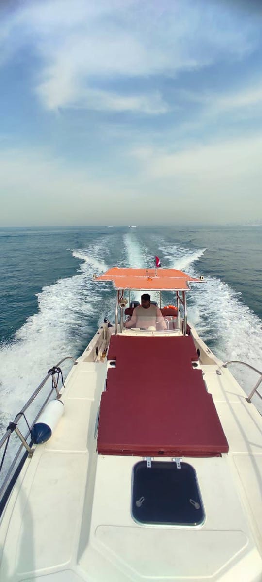 40ft Motor Yacht Spacious for 10 guest in Dubai Marina 