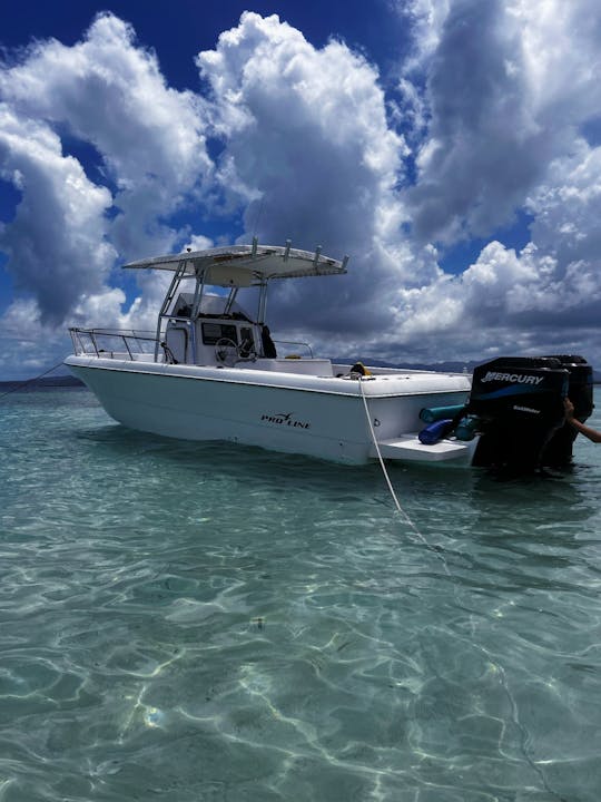 Pro Line 24 pés - Passeios de mergulho com snorkel e passeios pelas ilhas