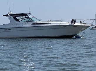 Location de yacht Sea Ray de 39 pieds à Deep River. Une belle journée sur l'eau !