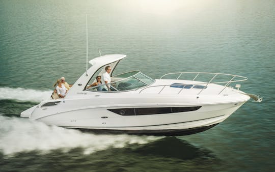 Beautiful Sea Ray 310 Sundancer Yacht