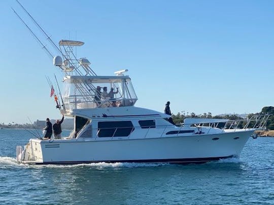 45’ Luxury Multi-Level Mission Bay Cruiser