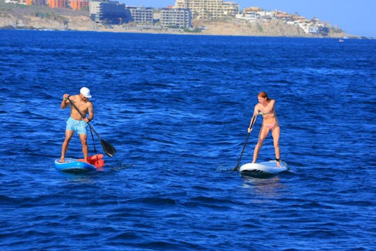 Mergulhe com snorkel em um catamarã e muita diversão, bar aberto e cruzeiro com almoço ou jantar