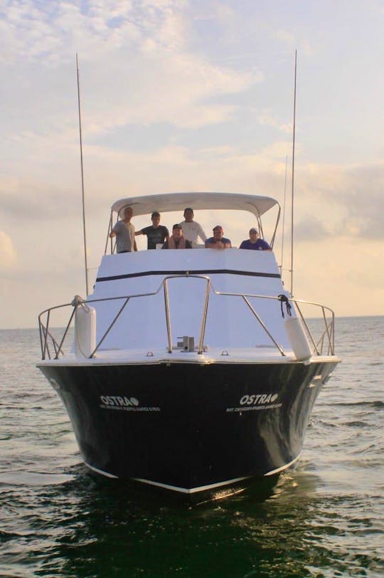 Fishing Charter 38’ Comfort Line Boat, in Cancun, Mexico