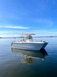 Center Console Private Charters - Swimming and Cruises 