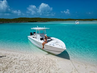 EXCURSIONES DE MEDIO DÍA - Natación privada con cerdos en Exuma