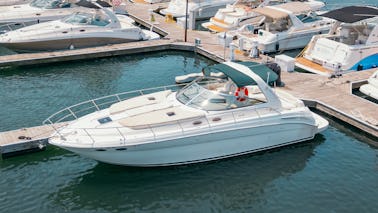 Aproveite Chicago nesta deslumbrante dançarina Sea Ray Sun de 42 pés — ótima para qualquer evento! 