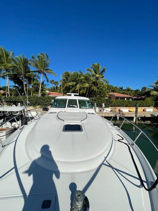 Visitez Saona ou l'île de Catalina à bord de ce yacht de 48 pieds 