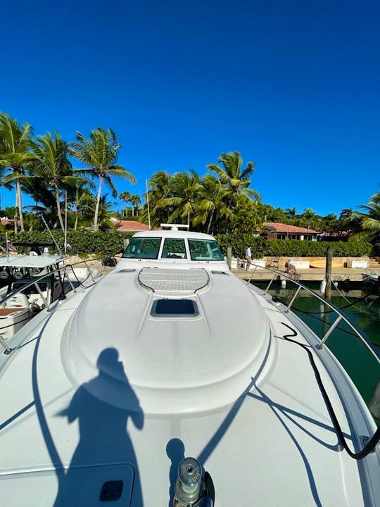 Visit Saona or Catalina Island in this 48 feet yacht 