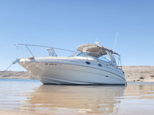 Unleash Adventure: Luxury Sun Dancer 280 Boat Charter on Lake Mead