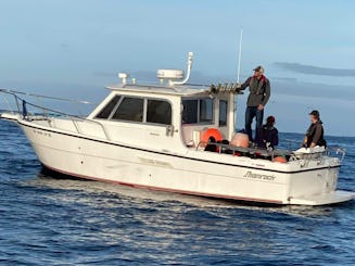 ¡Venga a explorar la hermosa bahía de San Francisco con la capitana Molly, nativa de San Francisco!