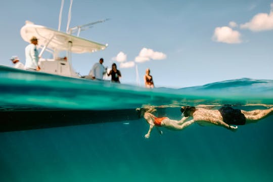 米領バージン諸島、セントジョン島の34隻のレギュレーターボートでの半日アイランドホッピング