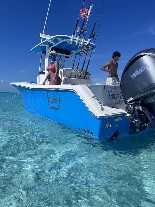 船長、燃料、氷、水が含まれています 💥☀️🏝️🛥️💥 超快適ボート