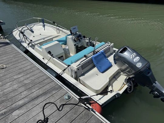 速くて楽しいボストン・ホエーラーで湾を探検しよう！
