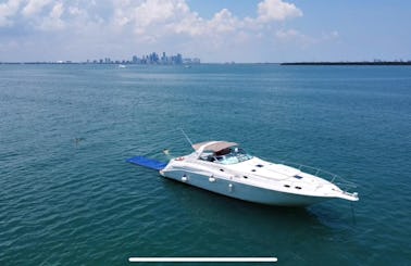 FREE CHAMPAGNE IN SPORTY 50’ SEARAY