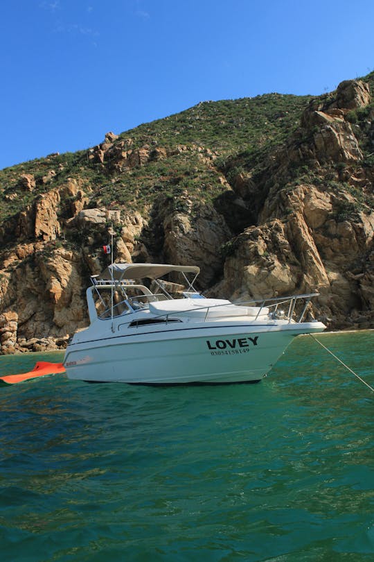 Welcraft 30Ft Available for rent in cabo san lucas mexico !!!