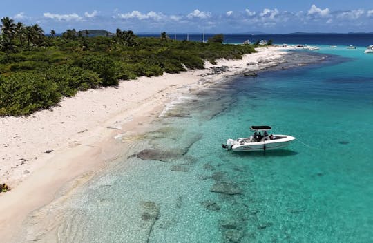 Icacos, Palomino or Cayo Piñero Captained Charters