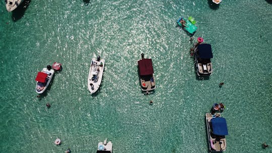 Diversão de meio dia em Crab Island, Tubing e Golfinhos com o Capitão!