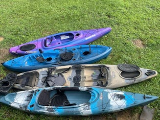 Alquiler de 4 kayaks: Field & stream, Sundolphin y Lifetime