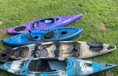 4 kayaks for rent - Field & stream, Sundolphin and Lifetime