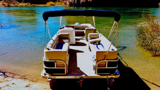 27' Party-Toon Captain Included! All New Everything! 